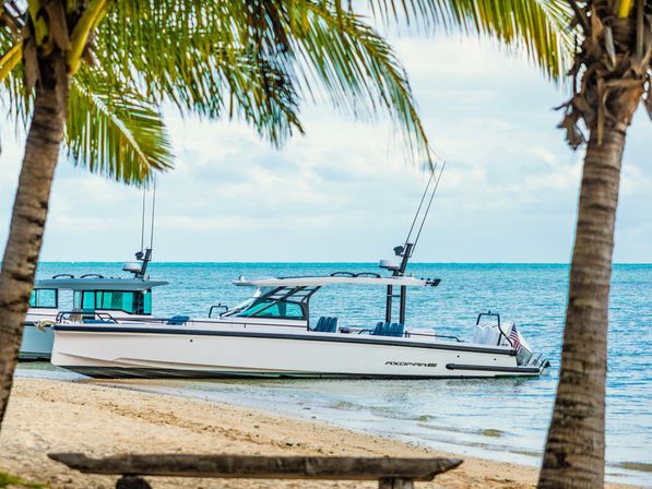 White motorboat anchored off a sandy tropical beach framed by palm trees, calm turquoise water and a cloudy sky — relaxed coastal scene