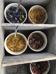 Top-down shot of white cups filled with colorful loose-leaf herbal teas and dried flower blends, each with a small spoon, neatly arranged in a rustic wooden box.