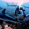 Dive With Frank LLC