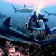 Dive With Frank LLC
