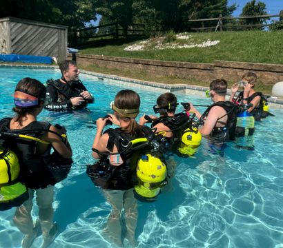 Dive With Frank LLC