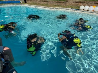 Private Scuba Diving Experience in Baltimore, MD image 5