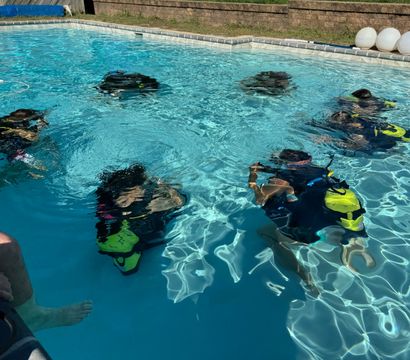 Dive With Frank LLC