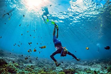 Snorkeler diving down over a sunlit tropical coral reef, bright fins and snorkel visible, surrounded by colorful reef fish and clear blue water with sunbeams