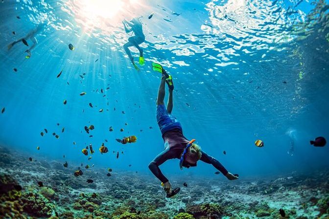 Snorkeler diving down over a sunlit tropical coral reef, bright fins and snorkel visible, surrounded by colorful reef fish and clear blue water with sunbeams