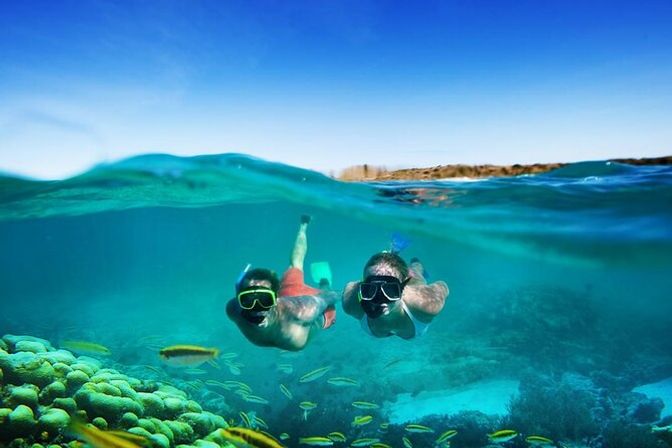 Over-under shot of two snorkelers exploring a vibrant tropical coral reef in crystal-clear turquoise water, surrounded by schools of small yellow fish.