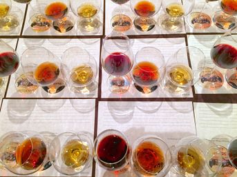 Overhead view of a wine-tasting flight with neat rows of glasses filled with red, amber, and golden pours arranged on lined tasting sheets