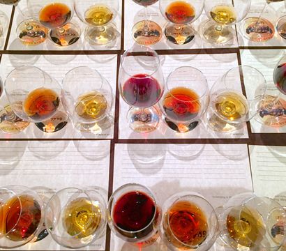 Top-down view of a wine-tasting flight with rows of red, amber, and golden pours in glasses set on lined tasting mats