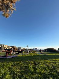Sunlit coastal park yoga class with people on mats in bird-dog pose on a green lawn, palm trees, beachfront houses and a clear blue sky