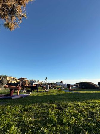 Sunlit coastal park yoga class with people on mats in bird-dog pose on a green lawn, palm trees, beachfront houses and a clear blue sky