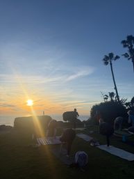 Group sunset yoga on a grassy ocean bluff with tall palm trees and the golden sun setting over the water