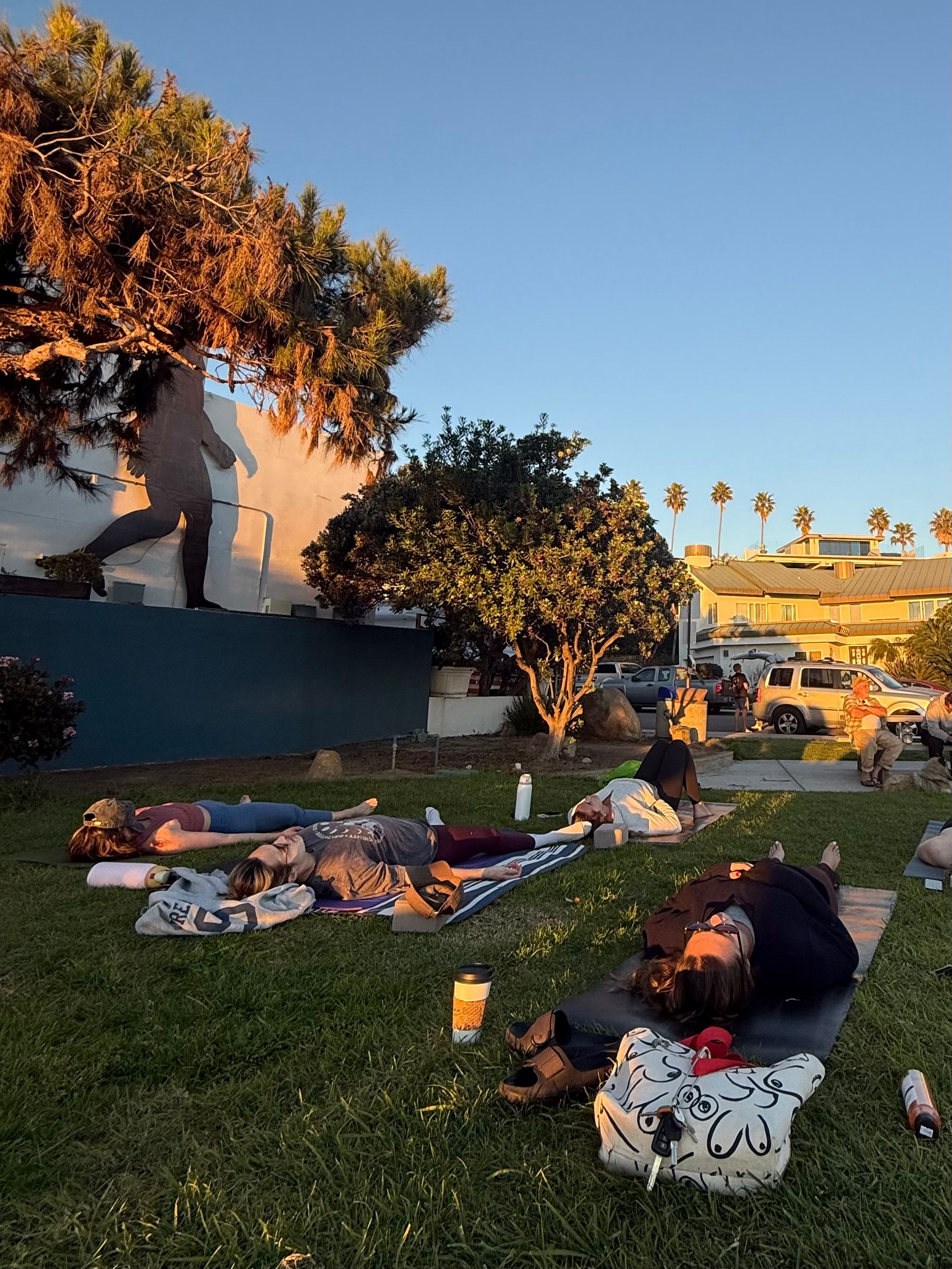 Sun-soaked outdoor yoga class lying on mats on a grassy, palm-lined coastal park at golden hour, with a large wall mural and nearby houses in the background.