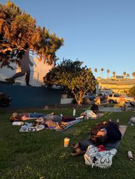 Sun-soaked outdoor yoga class lying on mats on a grassy, palm-lined coastal park at golden hour, with a large wall mural and nearby houses in the background.