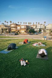 Four people folded into child's pose on yoga mats in a sunny beachside grassy park, palm trees and coastal houses lining the street behind them, with shoes and a water bottle in the foreground.