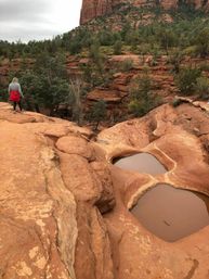 Hiker in a red jacket walks along red sandstone cliffs with rain-filled pothole pools, juniper trees, and towering canyon walls in a Southwestern red-rock landscape.