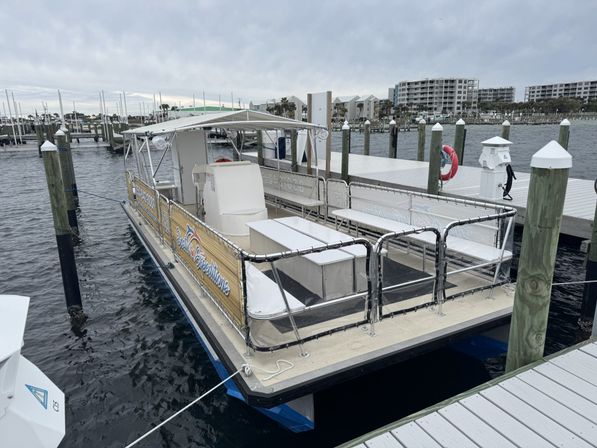 Crab Island & Dolphin Adventure (IN-WATER on Sandbar) image 22