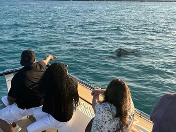 Crab Island & Dolphin Adventure (IN-WATER on Sandbar) image 16