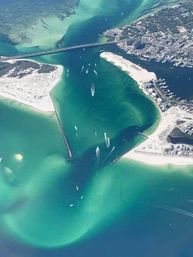 Crab Island & Dolphin Adventure (IN-WATER on Sandbar) image 17