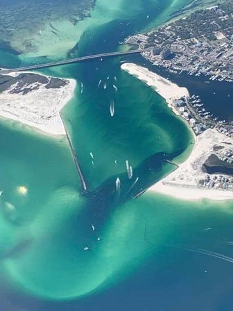 Crab Island & Dolphin Adventure (IN-WATER on Sandbar) image 17
