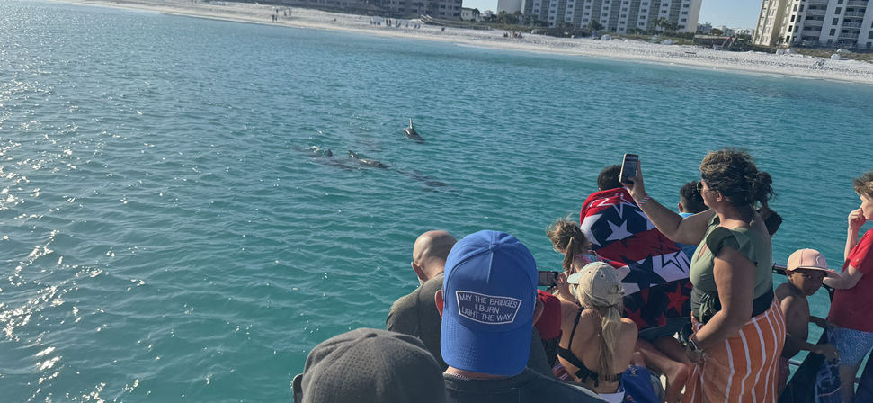 Crab Island & Dolphin Adventure (IN-WATER on Sandbar) image 7