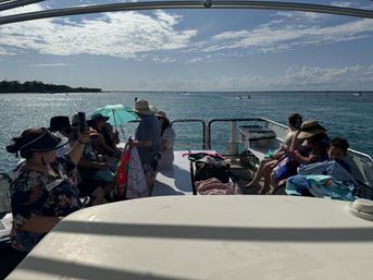 Crab Island & Dolphin Adventure (IN-WATER on Sandbar) image 14