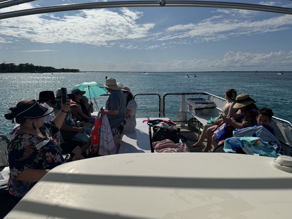 Crab Island & Dolphin Adventure (IN-WATER on Sandbar) image 14