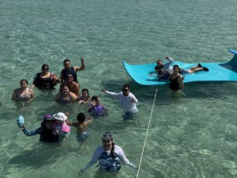 Crab Island & Dolphin Adventure (IN-WATER on Sandbar) image