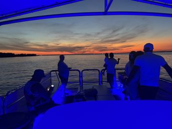 Crab Island & Dolphin Adventure (IN-WATER on Sandbar) image 15