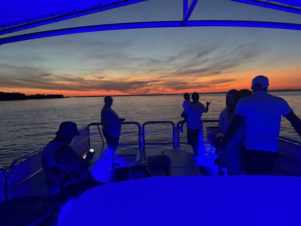 Crab Island & Dolphin Adventure (IN-WATER on Sandbar) image 15