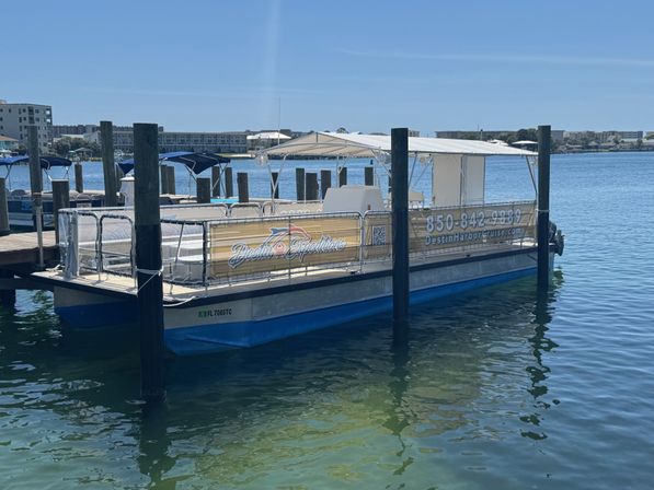 Crab Island & Dolphin Adventure (IN-WATER on Sandbar) image 11