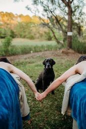 Couple holding hands across two outdoor massage tables with blue blankets, a black dog sitting on the grass between them in a park-like setting