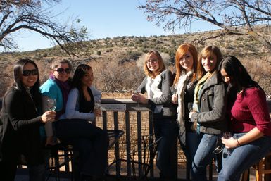 Seven friends holding wine glasses on a sunny vineyard deck patio, enjoying a wine tasting with arid hillside and bare trees in the background.