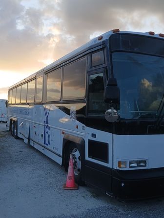 Bachelorette Party Bus Rental - Tampa, St. Pete & Clearwater image 4