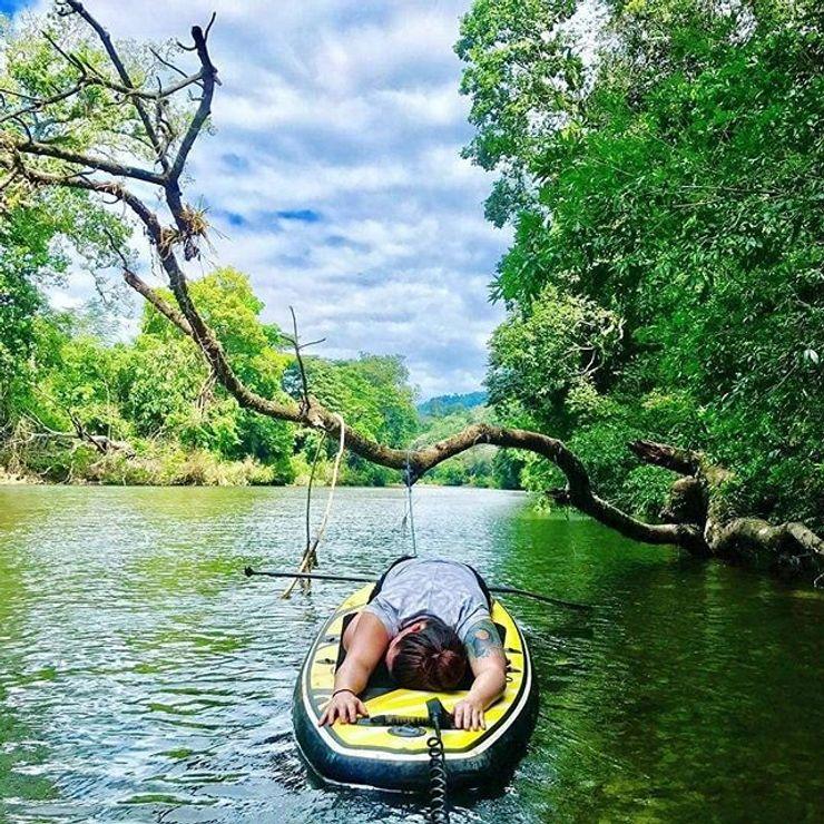 Relaxed paddler face-down on a yellow stand-up paddleboard in a calm river beneath an arching overhanging tree with a rope swing, surrounded by lush green forest and a cloudy blue sky.