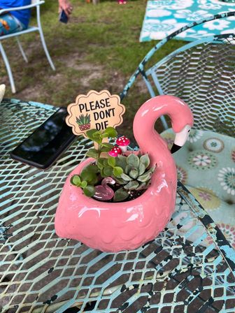 Private DIY Plant and Succulent Bar image 6