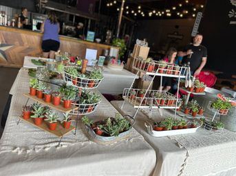 Private DIY Plant and Succulent Bar image 7