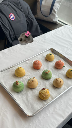 Tray of colorful spiral animal-shaped pastries on parchment-lined baking sheet on a café table by a window, puffer jacket draped over a chair and a playful seal sticker floating above.