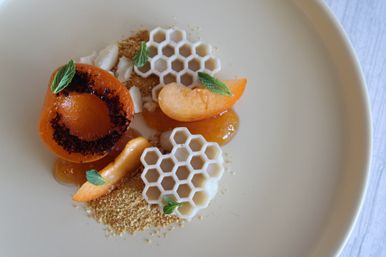 Gourmet apricot dessert with a grilled apricot half and slices, white honeycomb-shaped chocolate, golden biscuit crumble, apricot gel and fresh mint leaves on a beige plate.