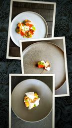 Three polaroid-style photos of modern gourmet small plates — minimalist ceramic dishes with seafood, vegetables, microgreens and colorful sauces — layered on a dark topographic-patterned background