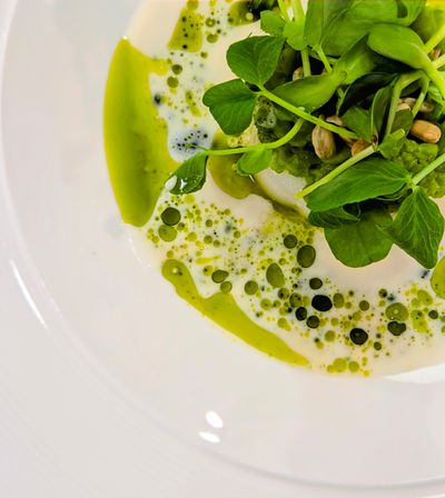 Close-up of a modern fine-dining plate with bright microgreens and toasted seeds atop green pea purée, surrounded by creamy white sauce and scattered herb‑oil droplets on a white plate.
