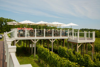 Elevated outdoor vineyard tasting deck with white umbrellas and diners seated behind glass railings, overlooking rows of grapevines and green countryside under a blue summer sky.
