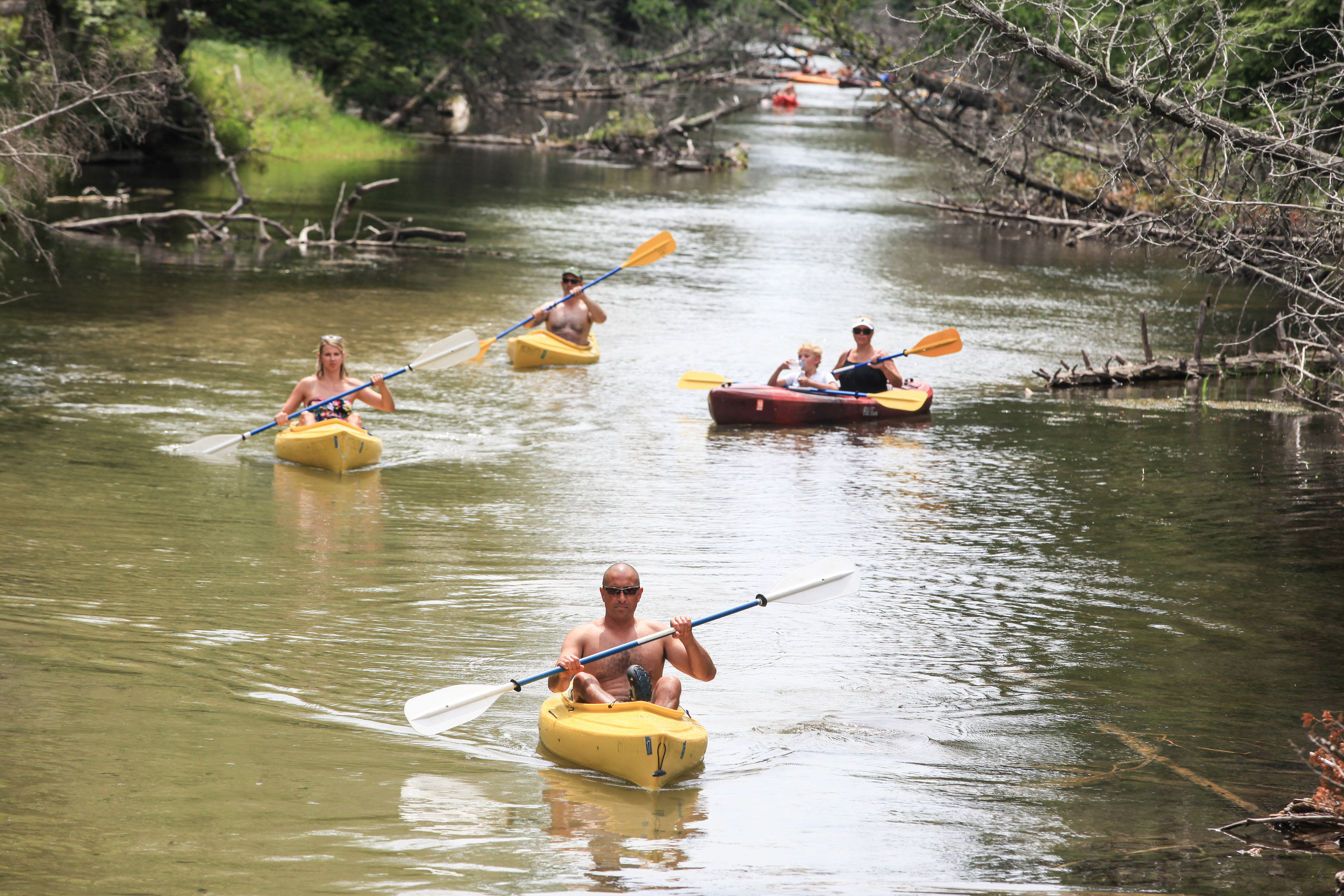 Group of kayakers paddling down a narrow, tree-lined river with calm green water and fallen branches