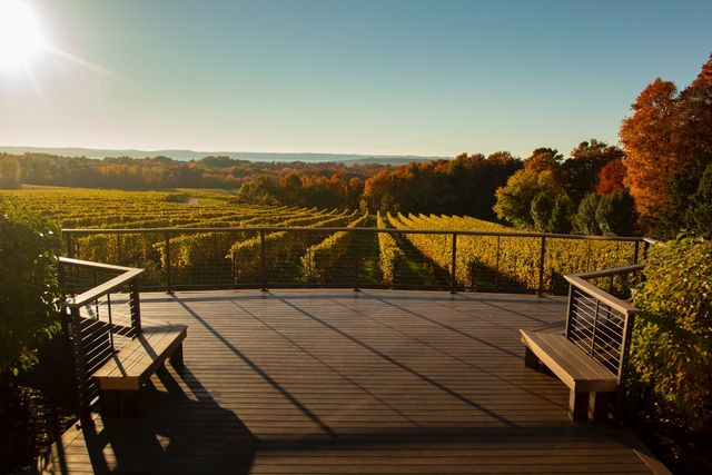 Private Winery & Brewery Tours with Brew Bus image 3