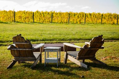 Private Winery & Brewery Tours with Brew Bus image 4