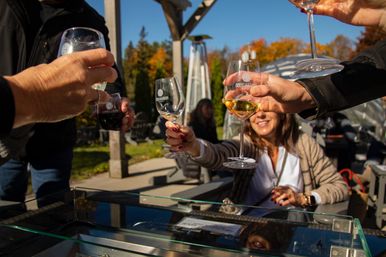 Private Winery & Brewery Tours with Brew Bus image 7