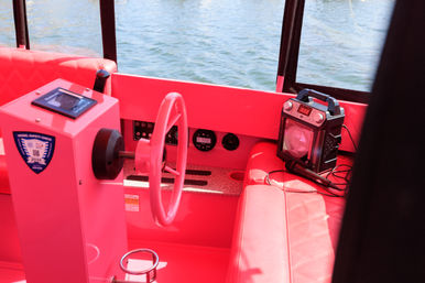 She’s Pink. You’re driving. Let’s Go. image 7