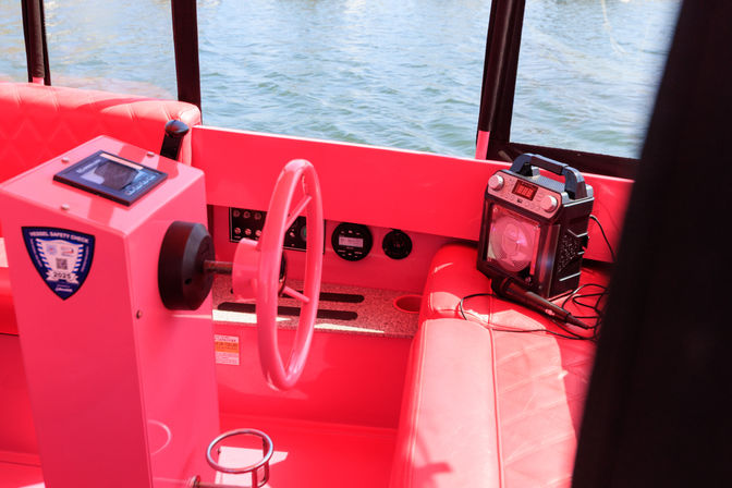 She’s Pink. You’re driving. Let’s Go. image 7