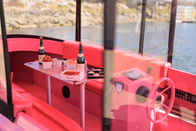 She’s Pink. You’re driving. Let’s Go. image 4