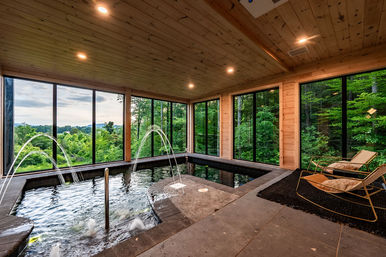 2025 (New) MTN Resort: A+ Location, Views, Privacy, Pool. Private Deer Sanctuary image 4