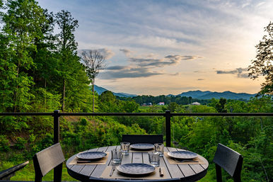 2025 (New) MTN Resort: A+ Location, Views, Privacy, Pool. Private Deer Sanctuary image 11